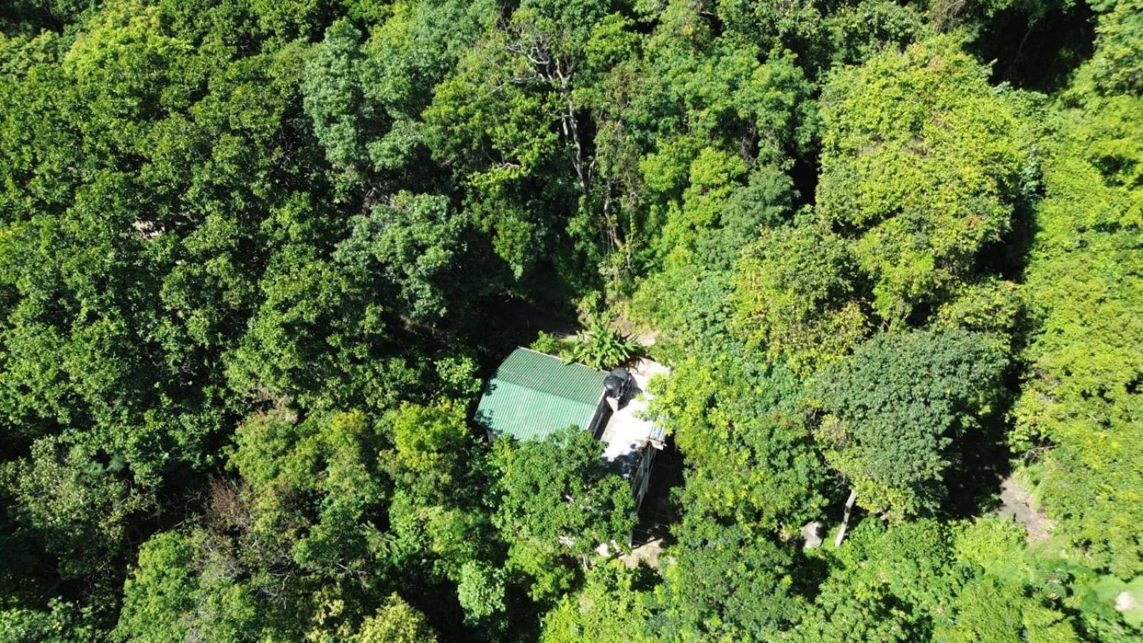 Eden Los Abuelos 2 - Casa Privada En Minca Nature Bagian luar foto