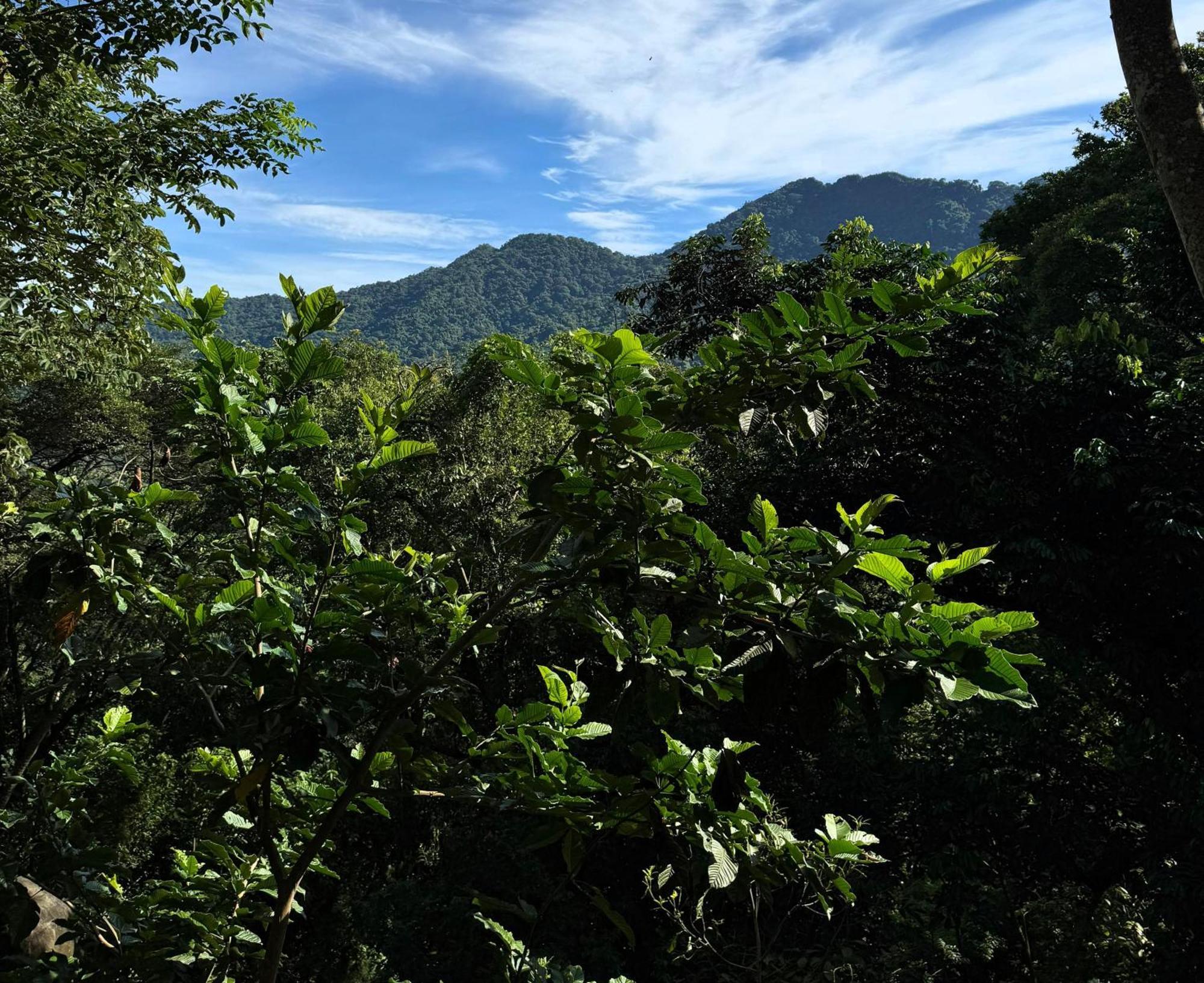 Eden Los Abuelos 2 - Casa Privada En Minca Nature Bagian luar foto